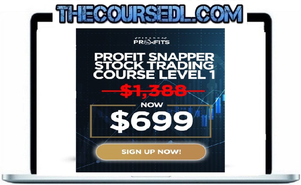 Adam Khoo - Stock Trading Course Level 1: Profit Snapper - The Coursedl