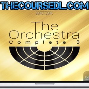 Best-Service-The-Orchestra-Complete-3
